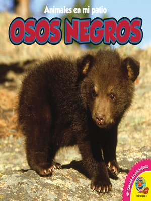 cover image of Osos negros (Black Bears)